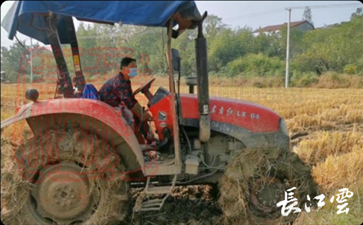 農(nóng)機(jī)手程雄兵在收獲后的稻田里翻耕整地